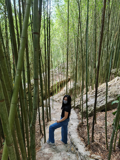 Arashiyama Bamboo Grove  Baguio City