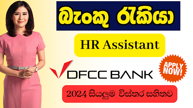  DFCC Bank/HR Assistant