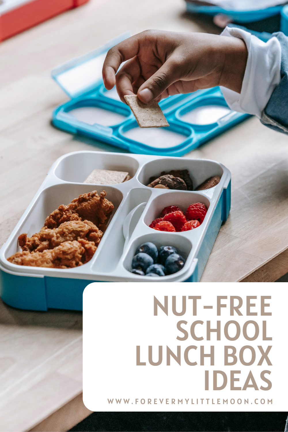 Easy Lunch Box Ideas for Kids (Nut-Free)