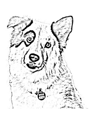 Desenhos para Colorir do Stan o Cão Blogueiro – O meu cão tem um blog