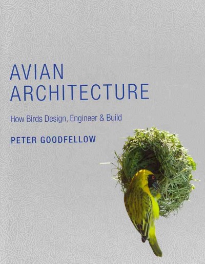 Ricklibrarian Avian Architecture How Birds Design
