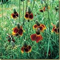 clip_image002[18]