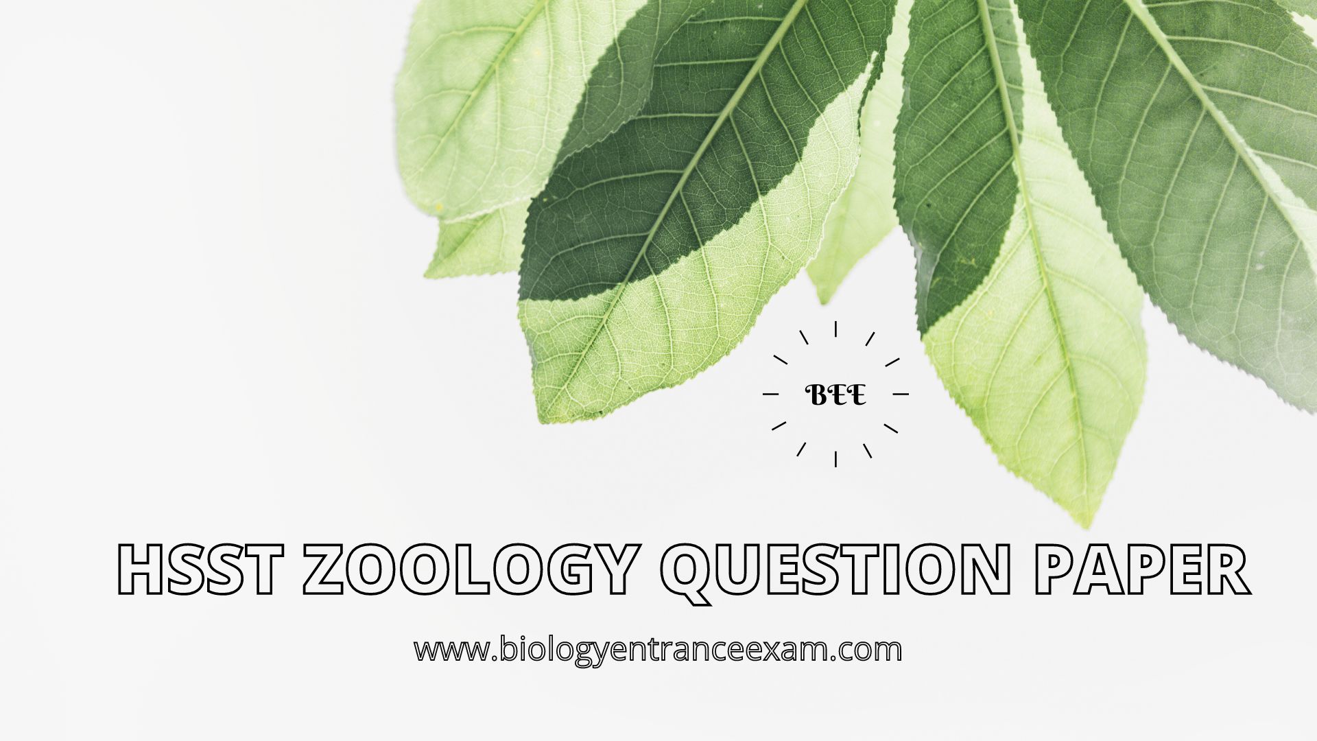 HSST Zoology 2022 Question paper with Answers PDF