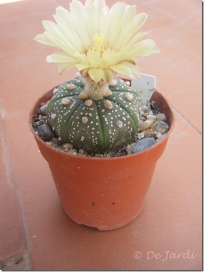 2013_07280003