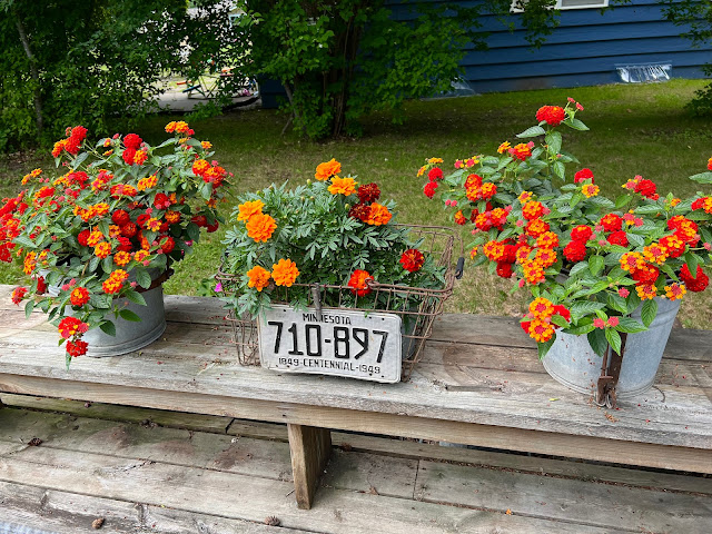 Photo of junky container gardens on the deck bench.