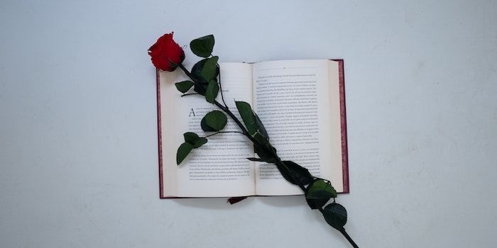 An open book with a rose on it