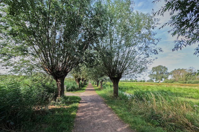 www.jetjesdag.nl | Nicolaas/S fotografie | Natuurgebied het Weegje bij Gouda