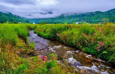 Arunachal Pradesh Package Tour from Kolkata