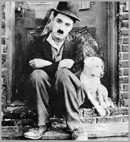 neri-g-chaplin-a-dogs-life-2103442