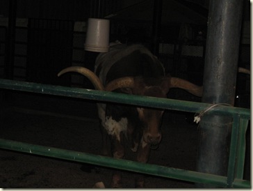 March 2012 092