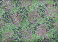Batik Fabric Green Purple Blossoms