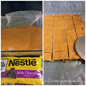 homemade candy bars