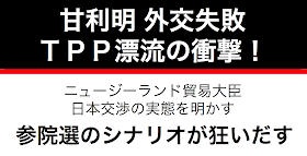 ＴＰＰの交渉１２カ国閣僚会合は、８月中には開かれないと日経が報じている。日本側は８月末を目指して調整するとしていたが失敗に終わる可能性がある。これで当初のシナリオより約２ヶ月遅れる可能性が出てきている。秋の臨時国会、そして来年の通常国会、さらには２０１６年７月に行われる参院選のシナリオが狂う可能性がある。