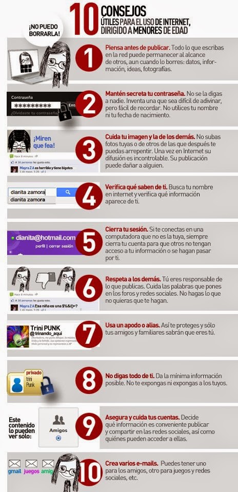 Infografías sobre internet