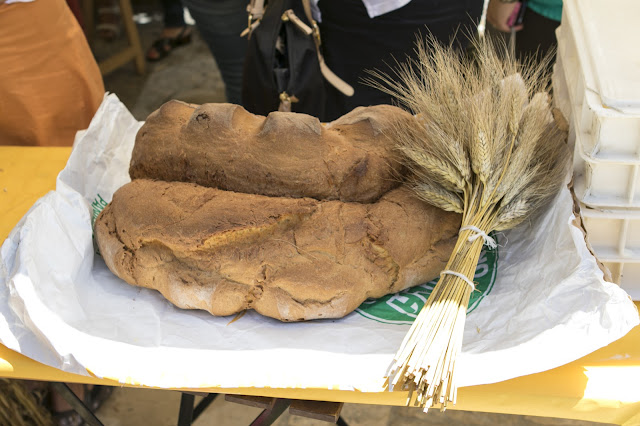 Pane di Matera