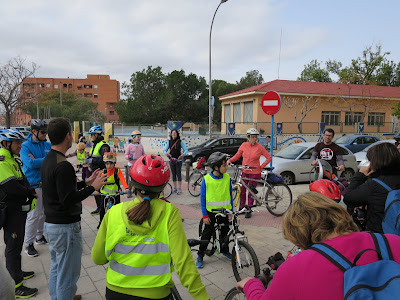 En bici al sorolla, árboles monumentales