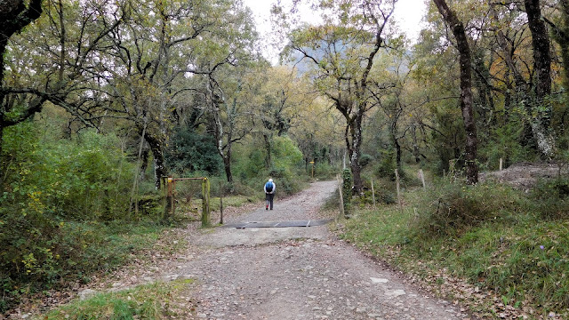 Aproximación Pico del Fraile Escalada Clásica