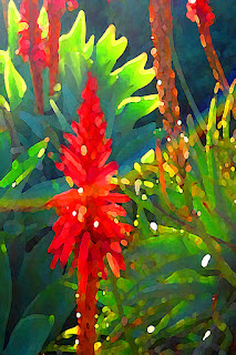 http://amy-vangsgard.artistwebsites.com/featured/rainbow-succulent-garden-amy-vangsgard.html