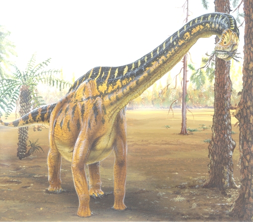 Brachiosaurus dapat menjangkau daun yang letaknya tinggi