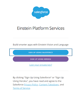 Sign Up Einstein Vision