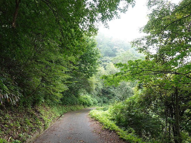 香取の大休峠に向かう山道を降ります