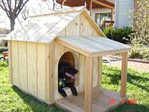 DIY Dog House with Deck