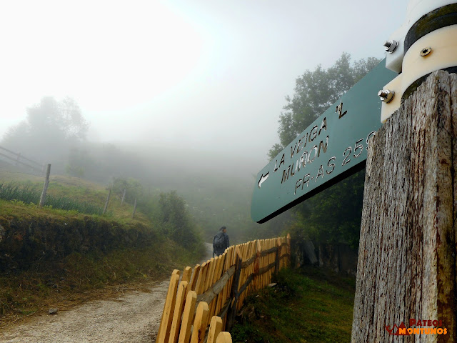 PR-AS 259 a la Braña de Cuevas