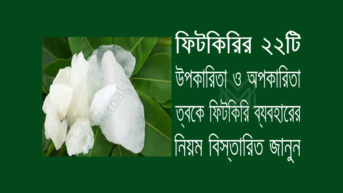 পানিতে ফিটকিরি ব্যবহারের নিয়ম
