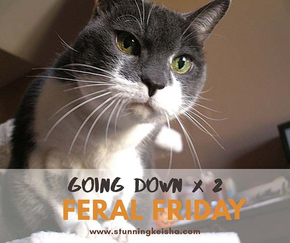 Feral Friday: Going Down? X 2
