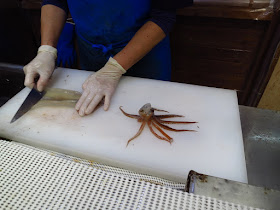 Cutting fresh squid Sashimi Hokkaido Hakodate morning market. Tokyo Consult. TokyoConsult.