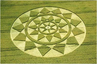 Amazing Crop Circle