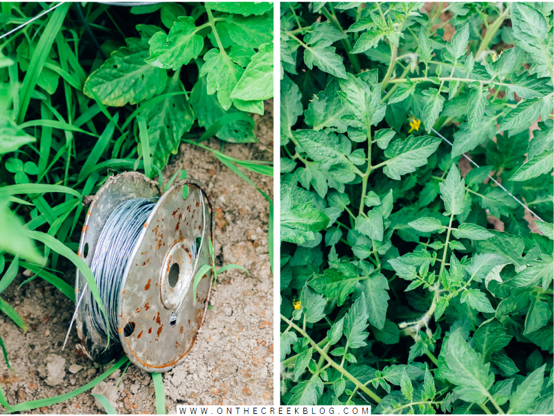 building trellis supports for tomato plants | on the creek blog // www.onthecreekblog.com