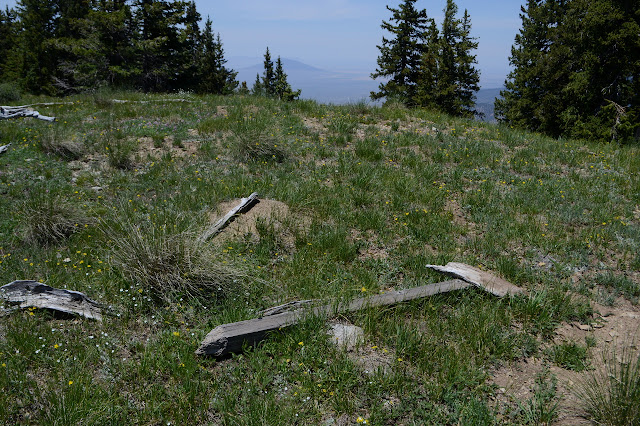 top of Flag Mountain