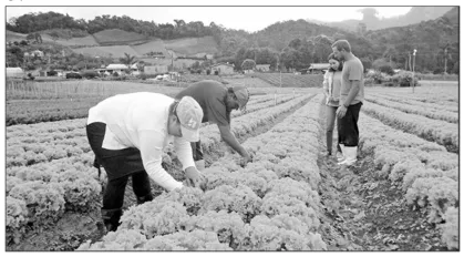 A figura a seguir mostra um grupo de trabalhadores rurais em uma das principais atividades econômicas vigentes no mundo, a agricultura