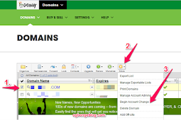 How To Push or Transfer Godaddy Domain To Another User