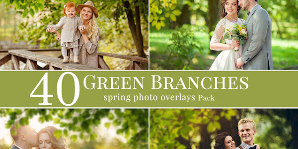 40 Green Branches Spring Photo Overlays Pack