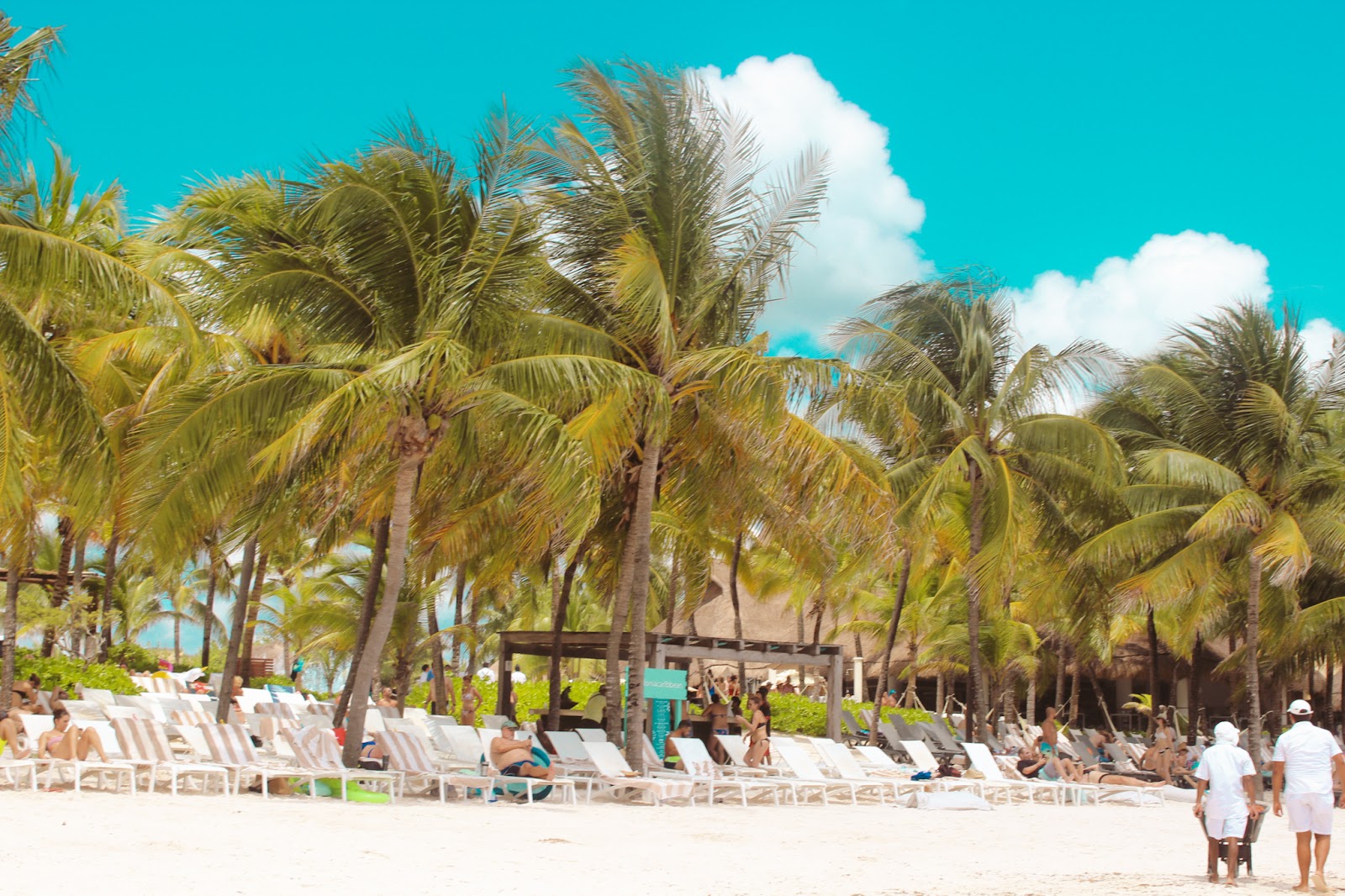 Catalonia Royal Tulum Riviera Maya México
