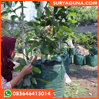 planter bag 50 liter 085646415014