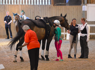 A vaulting horse after a competition, surrounded by people on the ground, including a lunger and coach. The vaulter is standing giving the horse a kiss as he has just been a Very Good Boy!