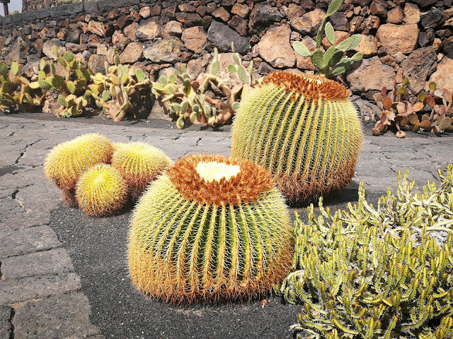 jardin cactus lanzarote cesar manrique