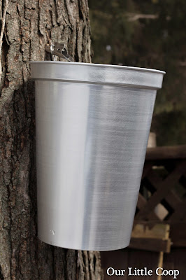 Tap my Trees maple sap spile and bucket