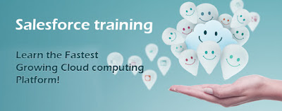 Salesforce expert training - Techiemills