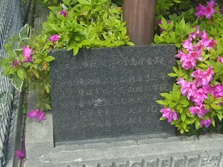 写真: 