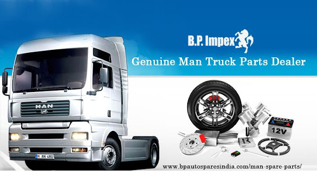 Man Truck Parts