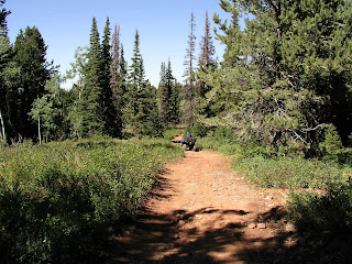 Shoshone Trail 43 Uinta-Wasatch-Cache National Forest Ogden Ranger District