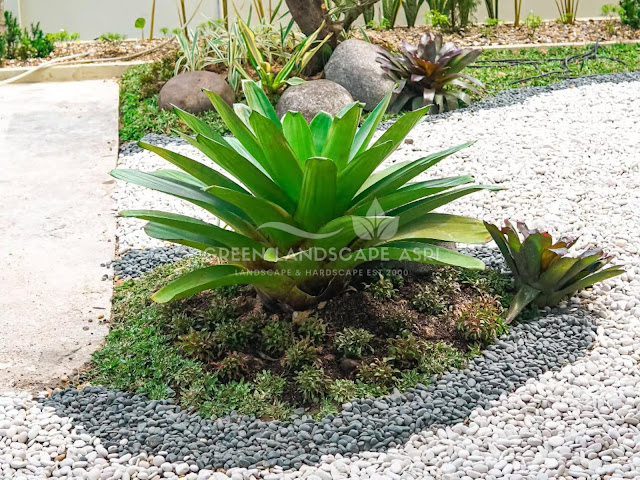 Tukang Taman Wonosobo - Jasa Desain Landscape Taman Berkualitas