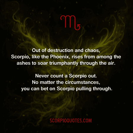 Out Of Destruction And Chaos Scorpio Like The Phoenix Rises From Among The Ashes Scorpio Quotes