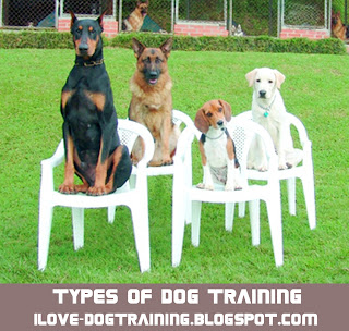 Types of Dog Training