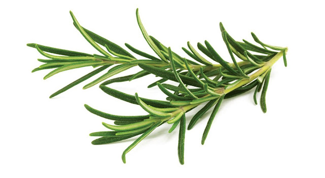 rosemary