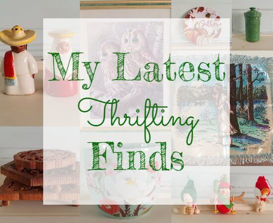 Treasure Trove Tuesday - My Latest Thrifting Finds